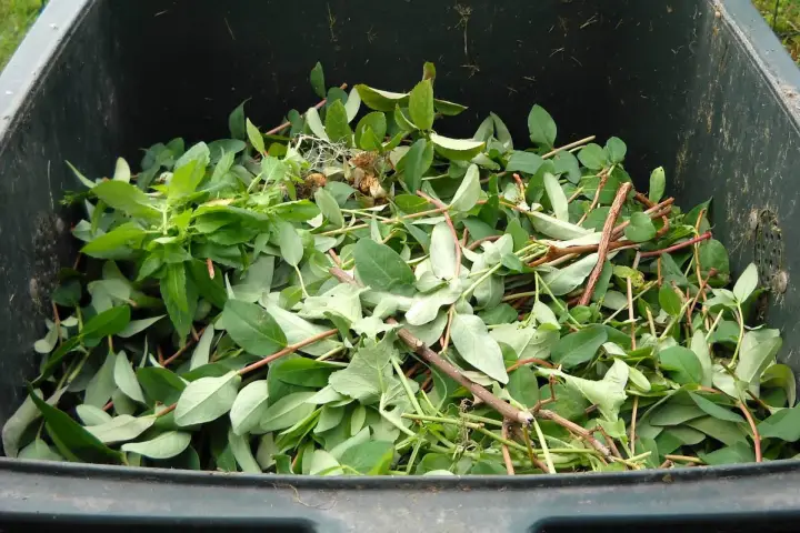 Wir schreddern Ihre Grünabfälle und Ihren Grünverschnitt